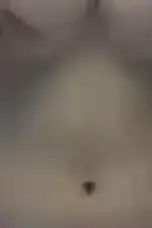 +💥👙(XXX-PORN-Videos)! Bocil Karin Desahannya Enak Banget ideos | xnxx.com, xhamster, xVideos ERTYX136152