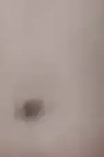 a0a031481fd6061d88533a344b140a0aba7b