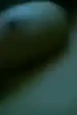 +!!(XXX-UXX$VIDEOS)* Acha Toket Gede Bulat Menggoda Hot xxxxx xnxx