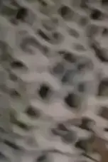 f5387fa9a06a270661d0b27f1f27a906bb31